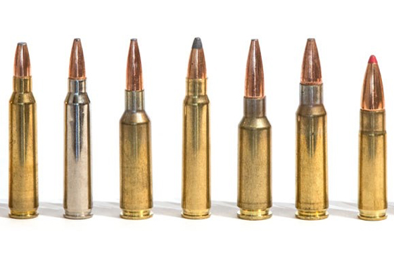 Top AR-15 Chamberings: 8 Great Do-It-All Loads