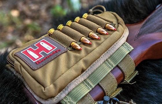 8 Best Charge-Stopping Bear Cartridges