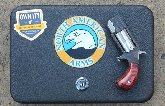 'The Dude' Mini Revolver: A Limited-Edition Gun From NAA
