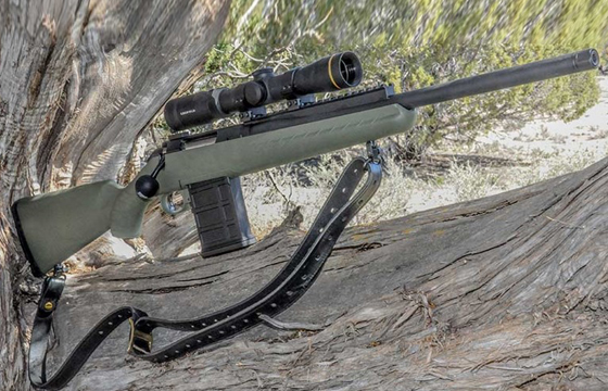 Scout-Rifle Build: Robar Ruger American Scout