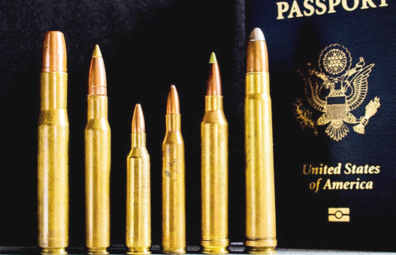 3 Rifle Cartridges to Hunt the World