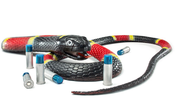 Skills Check: Snake-Shot Training & Patterning