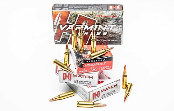 5 Top Loads for the 224 Valkyrie