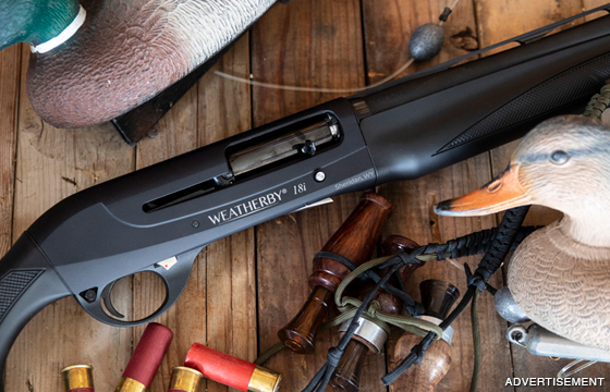 New Weatherby 18i Shotguns. Italian made, Inertia-Driven Perfection