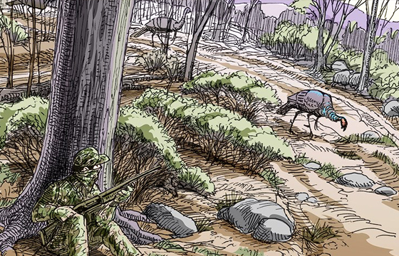 Turkey Hunting: Where and How to Sit
