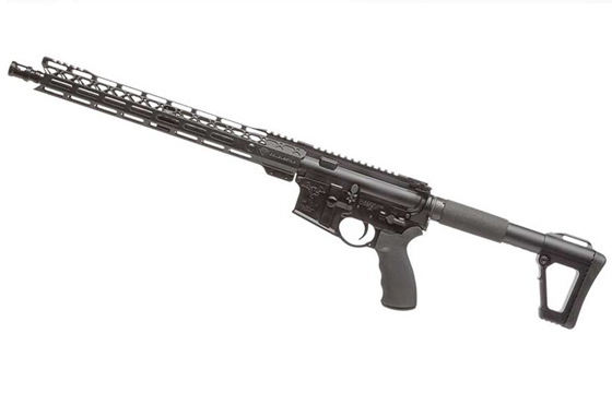 New for 2019: DoubleStar ZERO Carbine