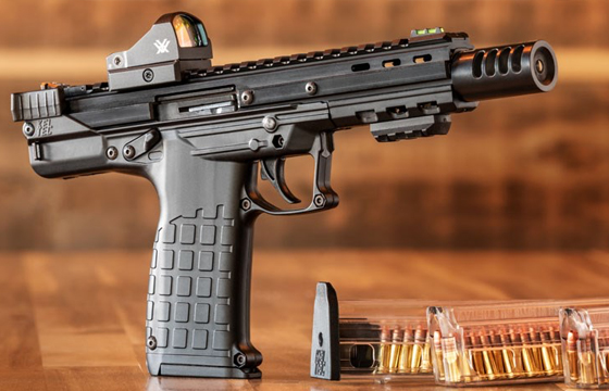 Review: Kel-Tec CP33