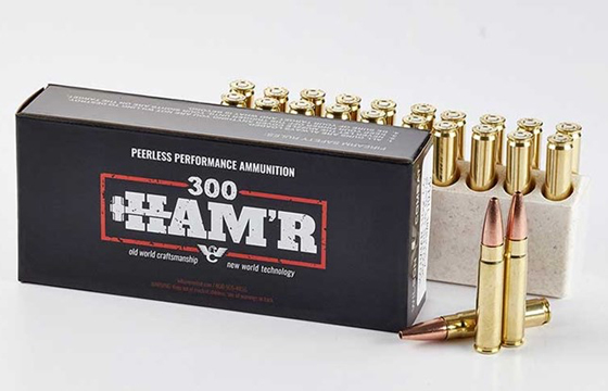 SAAMI Accepts .300 HAM'R Cartridge