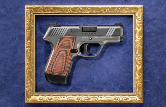 Review: Kimber EVO SP
