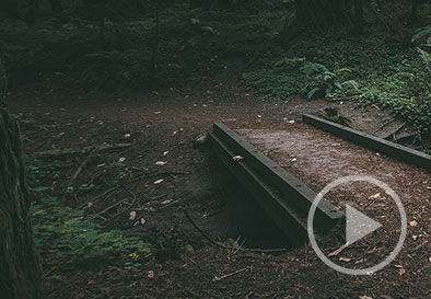 Good guy with a gun stops alleged rape