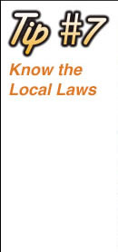 Tip 7  Know the Local Laws