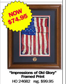 Impressions of Old Glory Framed Print